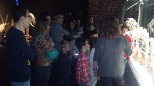 ulnae bones charla museu blau