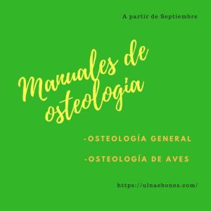 manuales osteologia