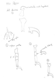 pata culebrera croquis ulnae bones montaje esqueletos