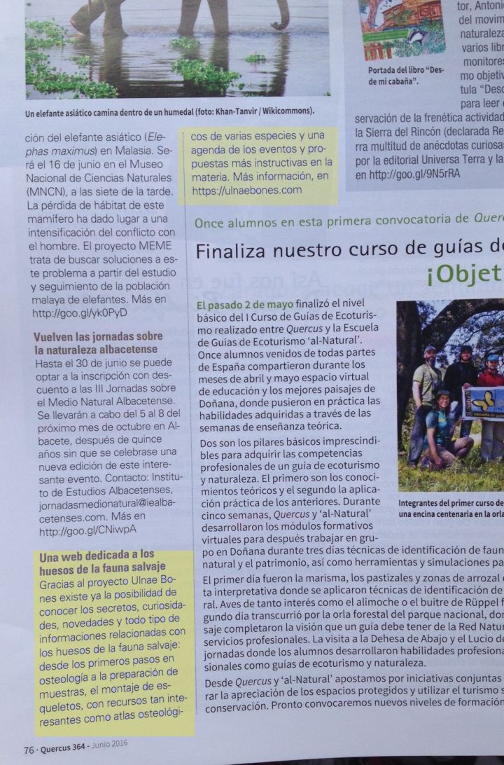 revista quercus ulnae bones