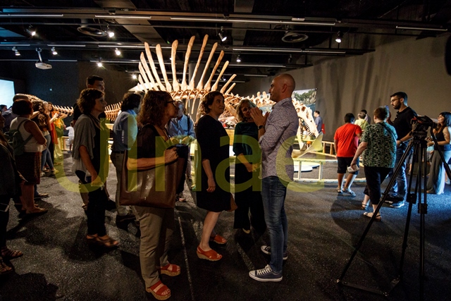 spinosaurus ulnae bones