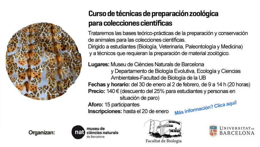 ulnae bones MCNB ciencias naturales preparacion tecnicas