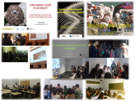 ulnae bones ofrece formacion