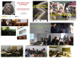 ulnae bones ofrece formacion