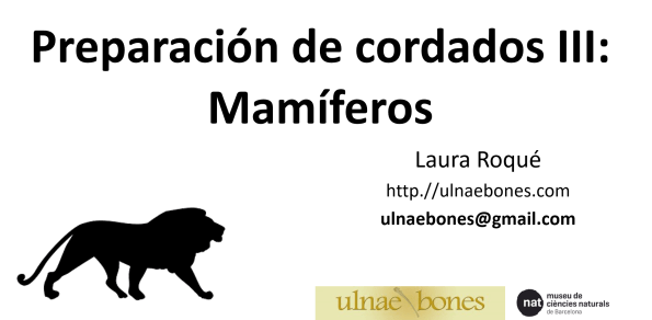 preparacion mamiferos Ullnae Bones
