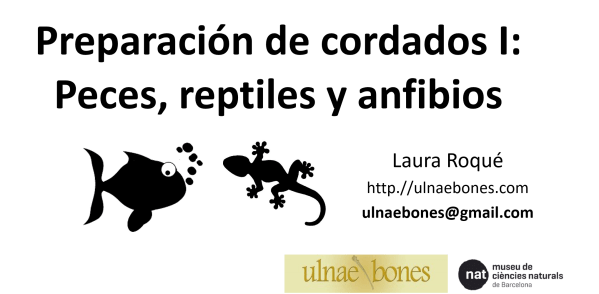 charla preparacion peces, reptiles y anfibios Ulnae bones