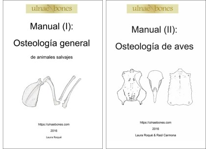 manuales osteologia