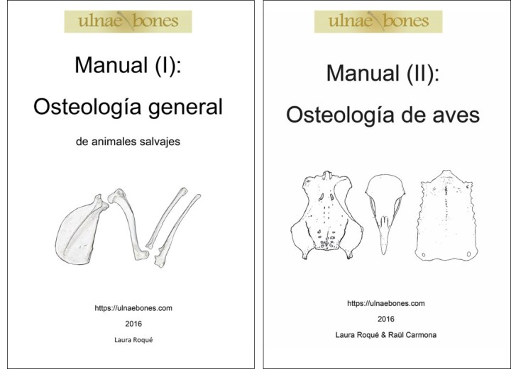 manuales osteologia