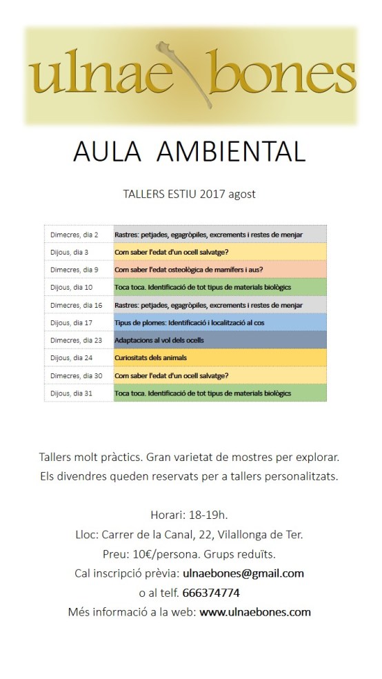 tallers agost ulnae bones