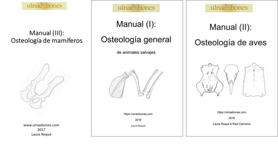 manuales ulnae bones
