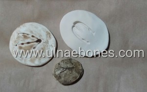ejip 2018 ulnae bones replicas