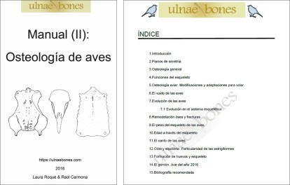 osteo_aves_indice