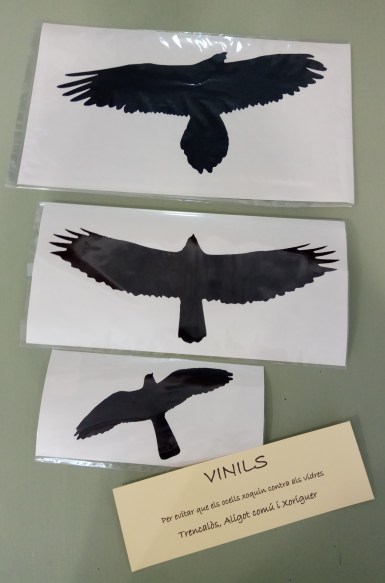 vinilo ulnae bones phototrekking aves