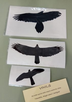vinilos silueta ave ulnae bones quebranathuesos cernicalo busardo