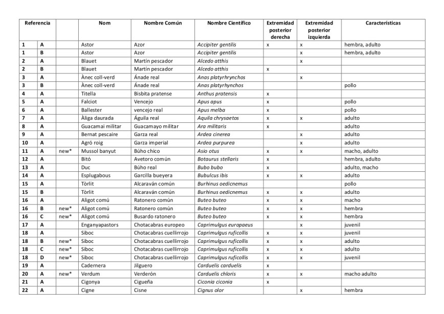 ulnaebones replicas huellas aves coleccion resina