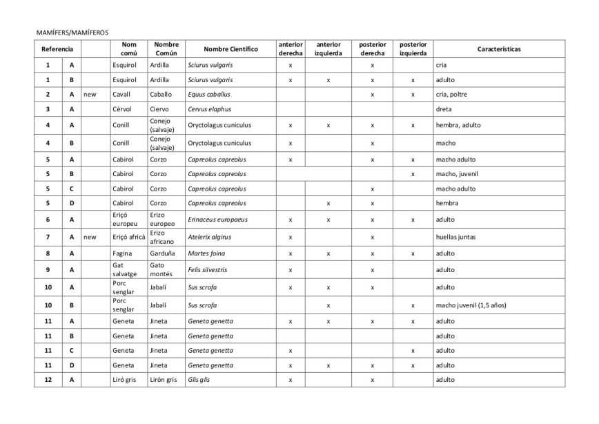ulnaebones replicas huellas mamiferos coleccion resina