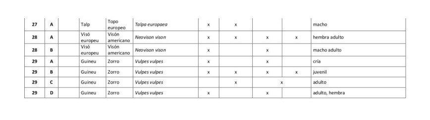 mamifero ulnaebones replicas huellas