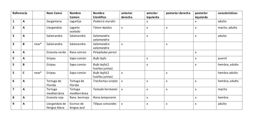 ulnaebones replicas huellas reptiles anfibios coleccion resina