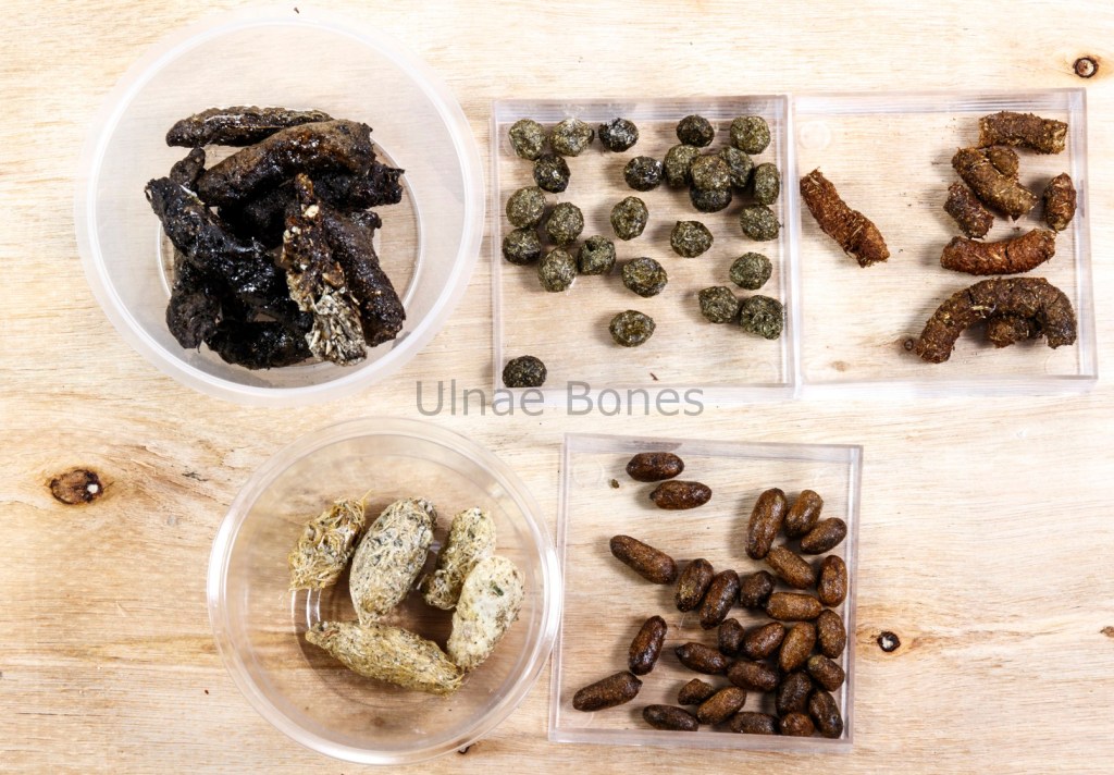 excrementos ulnaebones