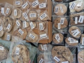 replicas huellas ulnaebones fauan iberica