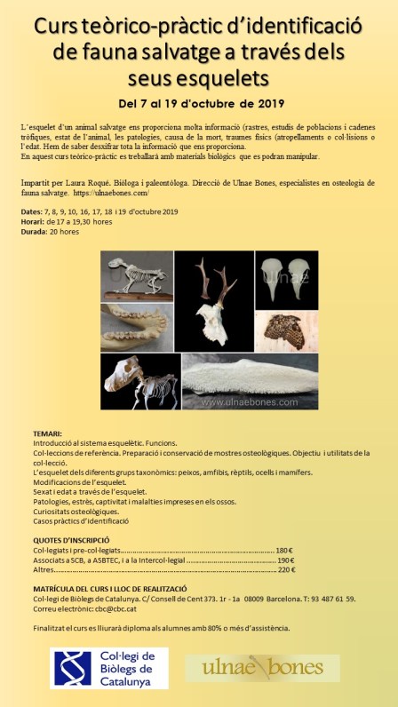 curs identificacio esquelets ulnaebones col·legi biolegs