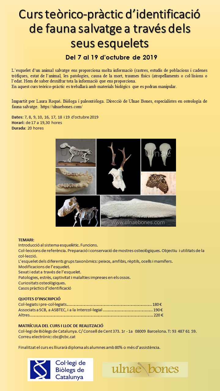 curs identificacio esquelets ulnaebones col·legi biolegs