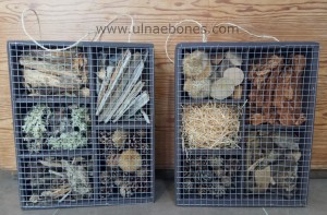 hotel insectos ulnaebones