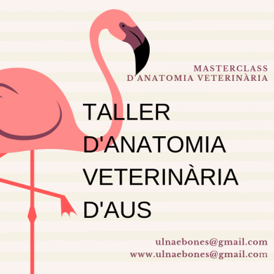 masterclass aves ulnaebones necropsia