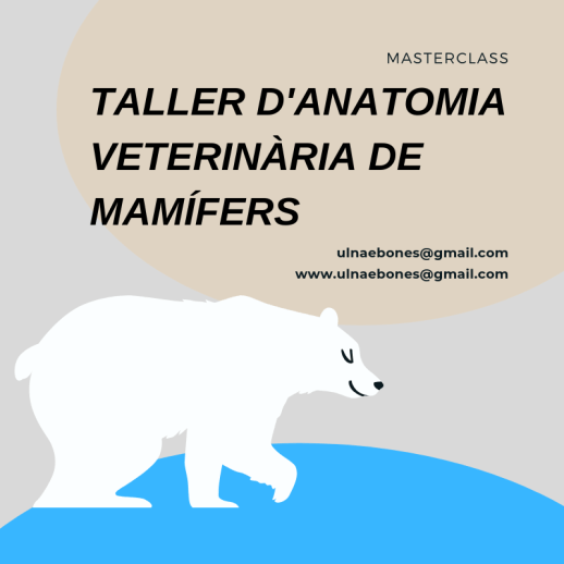 masterclass mamifers ulnaebones necropsia