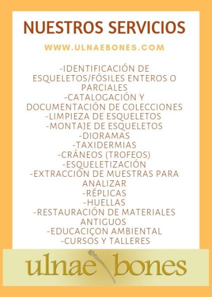serveis ofrecemos servicios ulnaebones