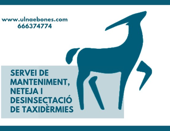 restauracio neteja fauna salvatge ulnaebones