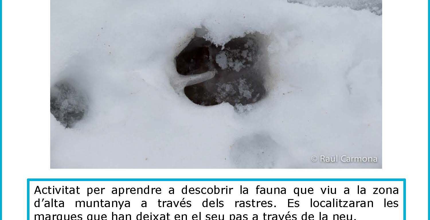 taller rastres neu a Queralbs