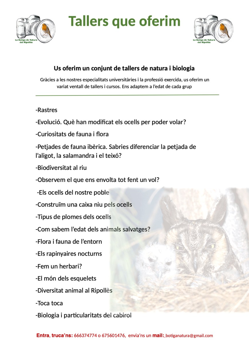 tallers ulnaebones botiga natura educacio camprodon