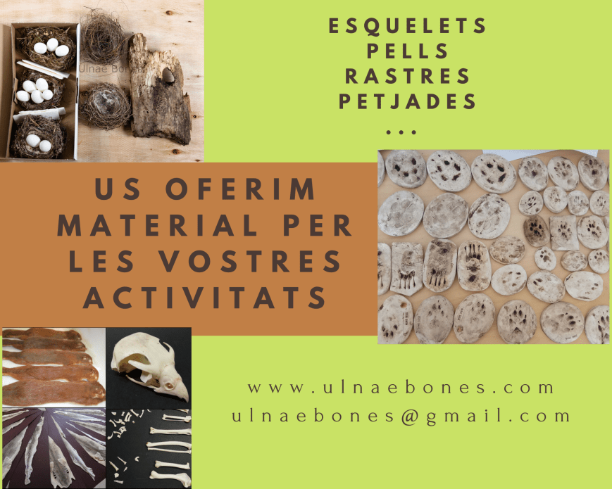 material per tallers