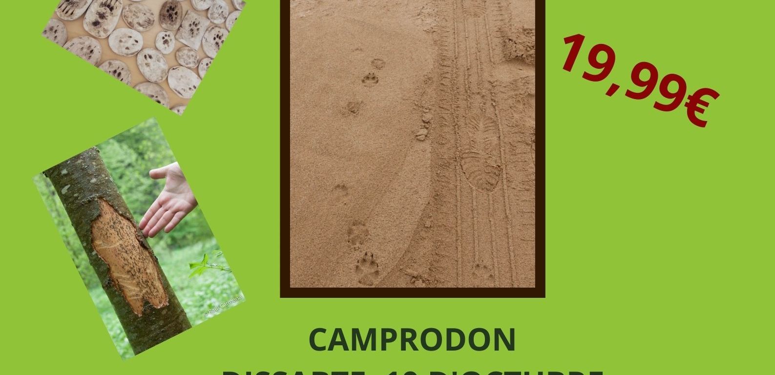 taller rastres aula i natura