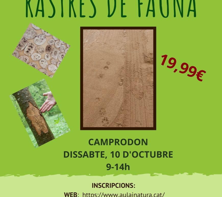 taller rastres aula i natura