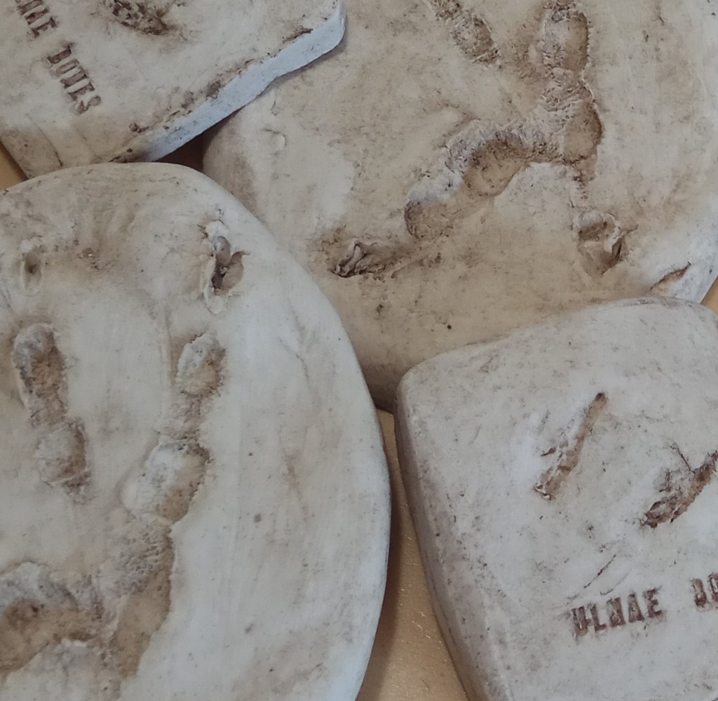 huellas replicas ulnaebones