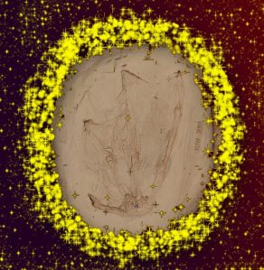 Huella de alcatraz común