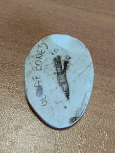 Huella de martín pescador